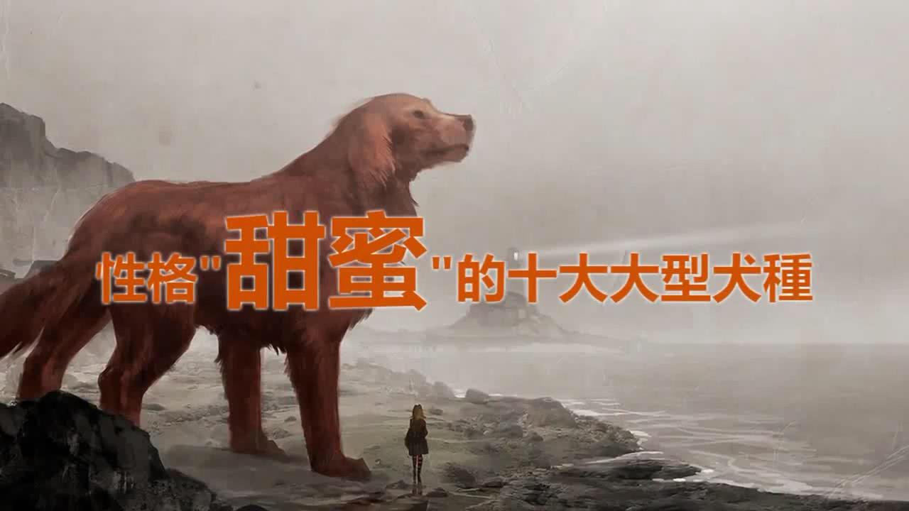 性格“甜蜜”的十大大型犬种