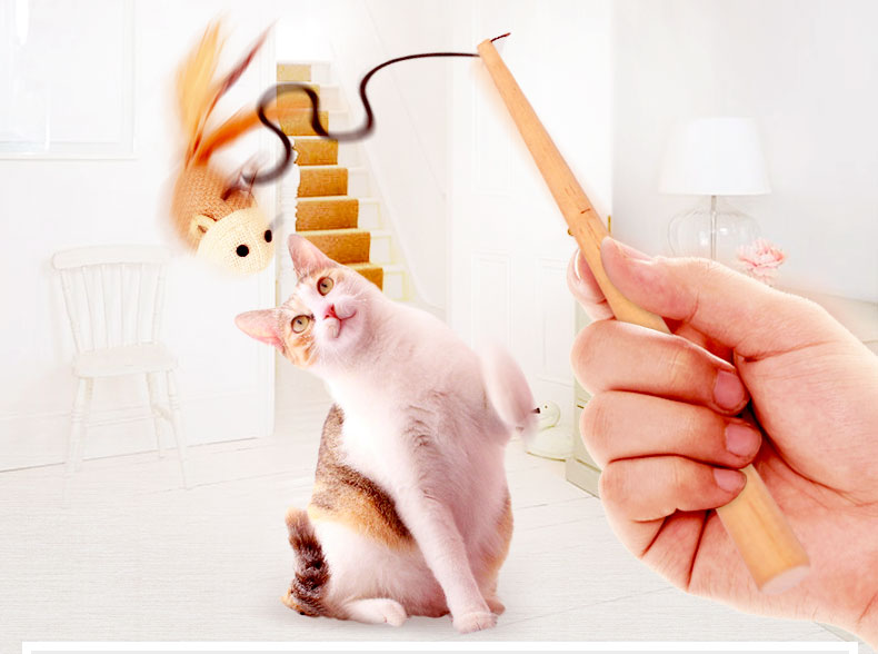 猫玩具逗猫棒羽毛仙女棒磨牙棒斗猫小猫老鼠宠物猫咪用品逗猫神器（数据测试）