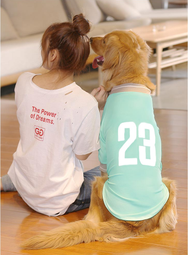 狗狗衣服金毛萨摩耶中型大型犬夏装拉布拉多大狗夏季夏天薄款背心（数据测试）