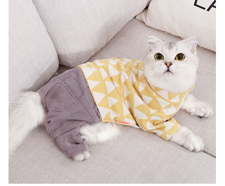 猫咪衣服网红蓝猫夏季夏天暹罗小猫的冬装可爱薄款幼猫小奶猫保暖（数据测试）