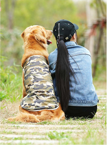大狗狗衣服大型犬金毛萨摩耶哈士奇拉布拉多夏天背心薄款宠物夏季(数据测试）