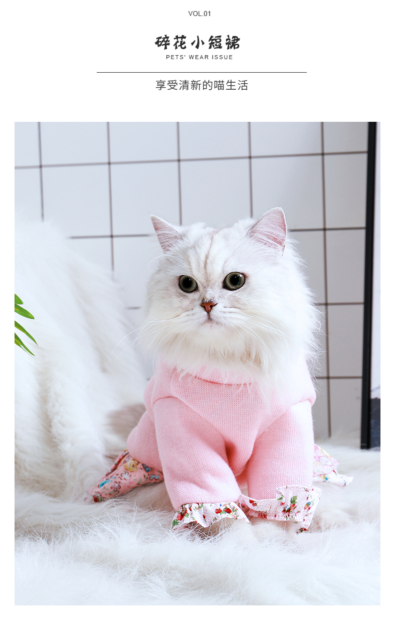 小猫咪的衣服暹罗蓝猫夏天夏季服装加菲布偶可爱冬装宠物保暖裙子（数据测试）