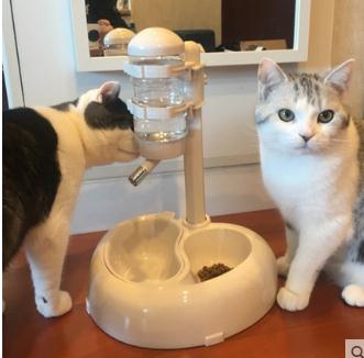 猫咪喝水器挂式不湿嘴自动饮水喂食器宠物立式猫饮水机流动不插电（测试数据）