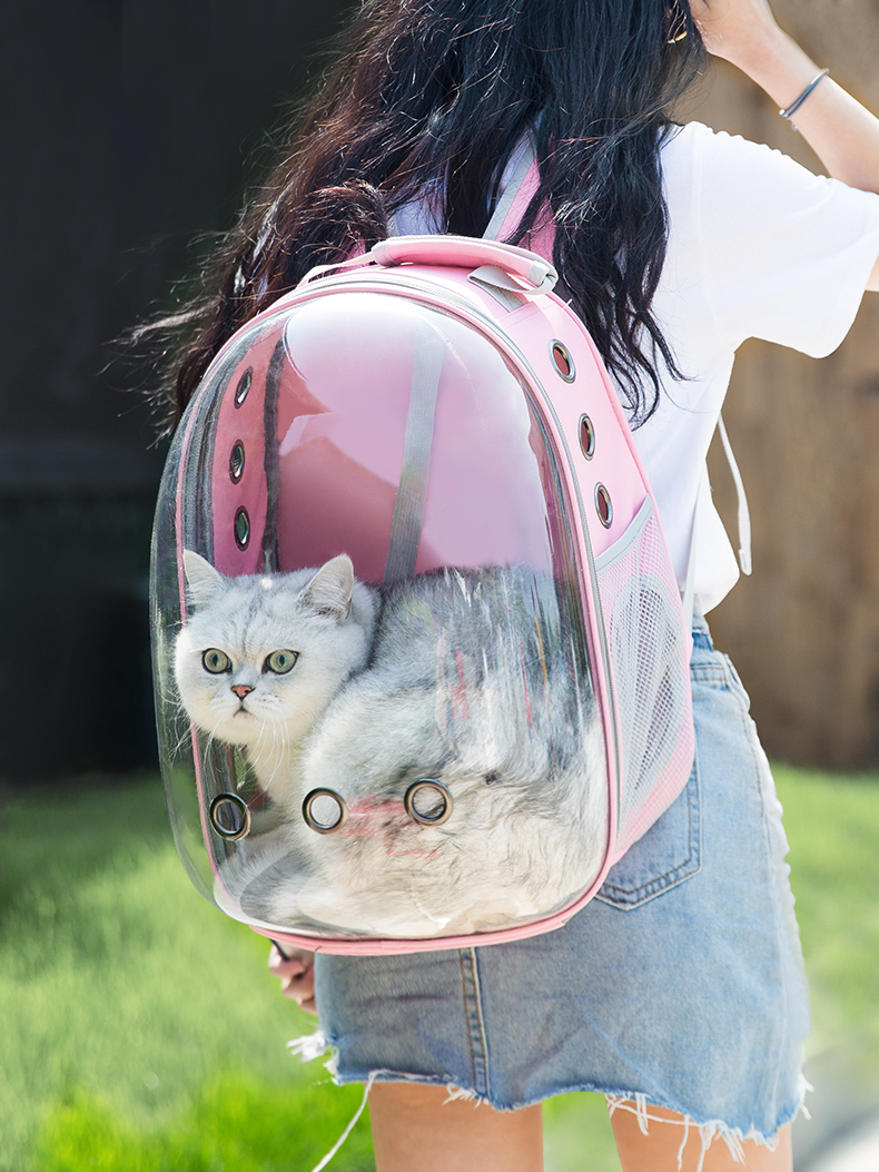 猫包外出便携透明猫咪背包太空宠物舱手提箱包狗猫笼子双肩猫书包（数据测试）