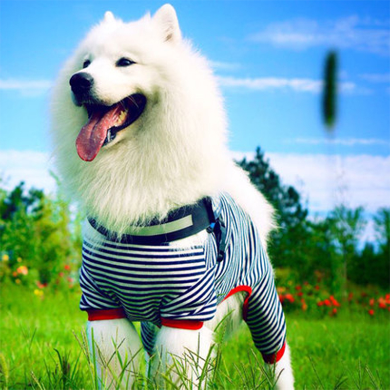 大狗狗衣服宠物夏季睡衣四脚衣中大型犬萨摩耶金毛薄款夏装夏天（数据测试）