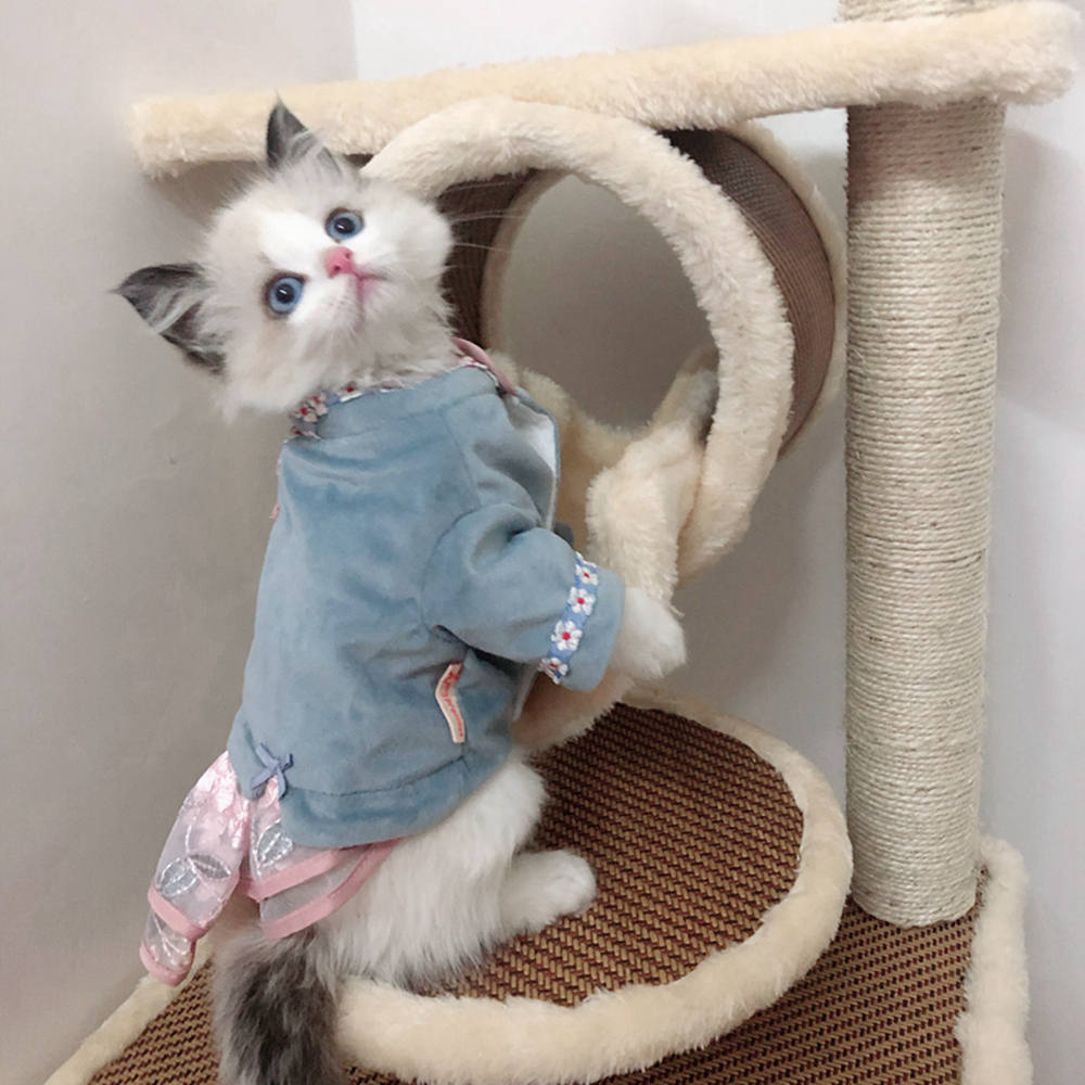 猫咪衣服网红汉服英短猫猫宠物的可爱秋冬装冬季保暖裙子抖音同款（数据测试）