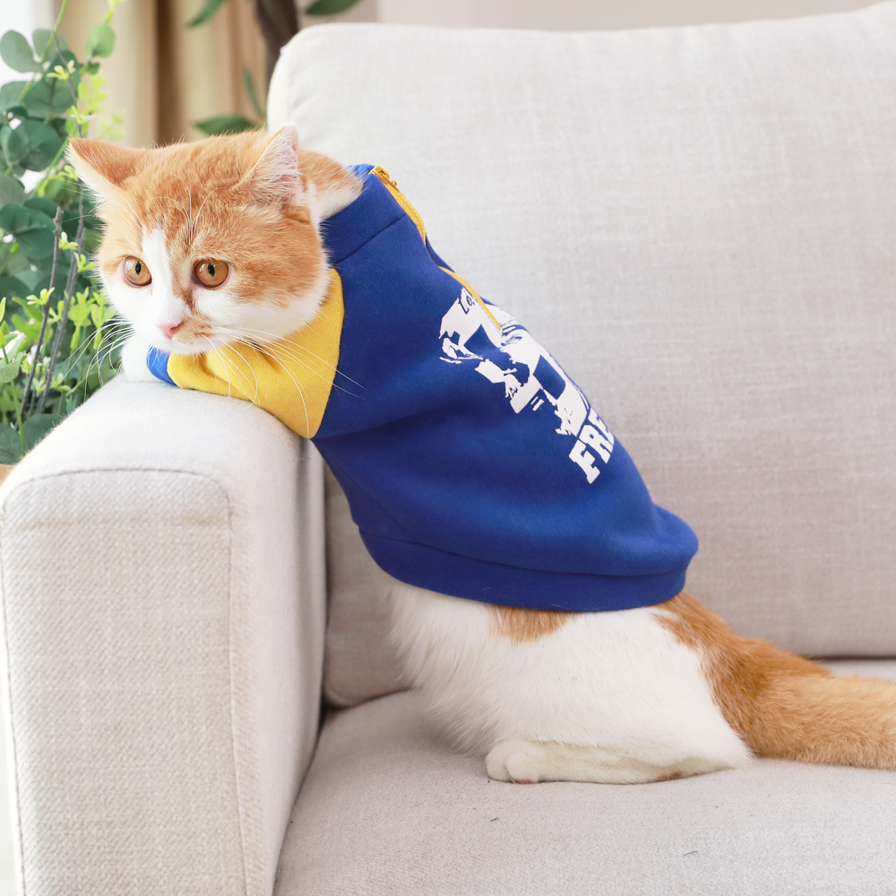 小猫的衣服英短布偶猫橘猫猫咪春季保暖出行服饰宠物猫卫衣春秋装（数据测试）