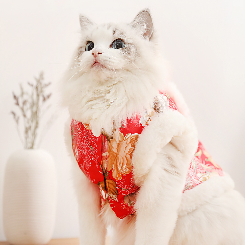 猫咪衣服新年装泰迪过年喜庆唐装中国风英短春节猫保暖狗冬装加厚（数据测试）