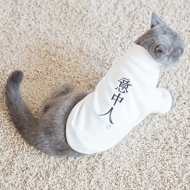 猫咪衣服无毛猫薄款英短幼猫宠物秋装猫衣服（数据测试）