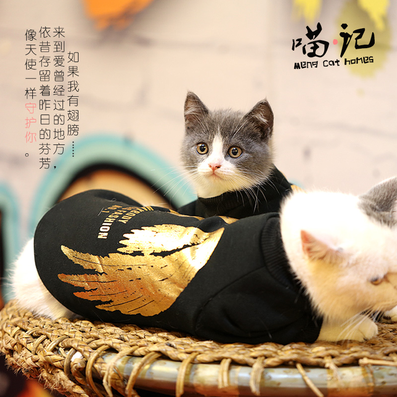 宠物猫咪衣服秋冬宠物幼猫衣服小猫衣服可爱亲子装潮牌卫衣（数据测试）
