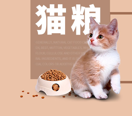 天然猫粮哪家好，你经常买哪个品牌的猫粮呢？