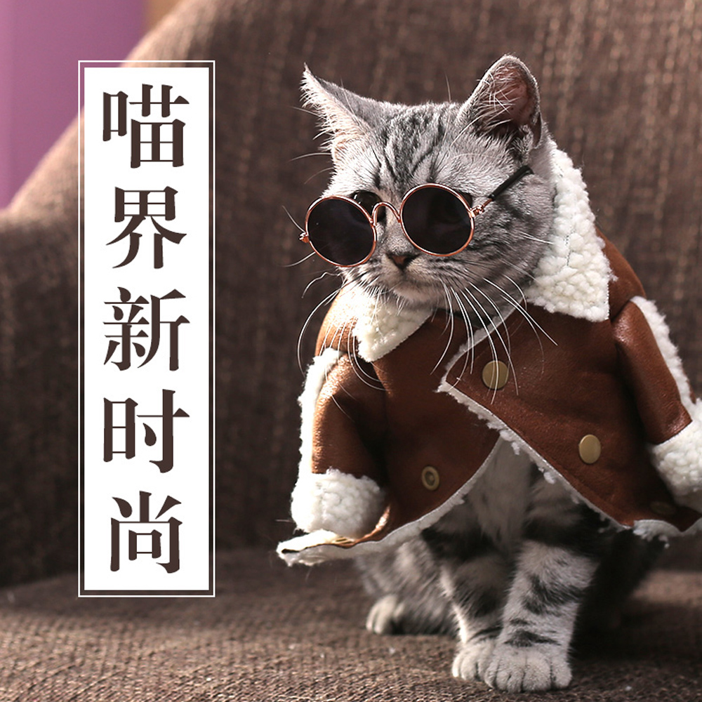 猫咪墨镜宠物猫护目镜太阳镜猫猫搞怪模特道具拍照配饰复古猫眼镜（数据测试）