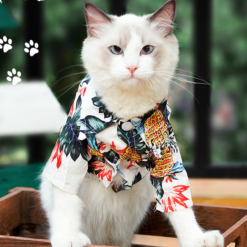 猫咪衣服夏季薄款防晒衫小猫幼猫夏天轻薄透气装天猫衣服宠物服饰