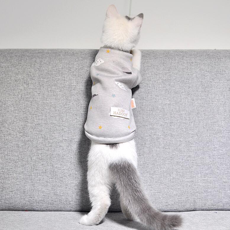  猫咪衣服卫衣秋猫衣服冬装英短保暖卫衣可爱小型犬秋冬装