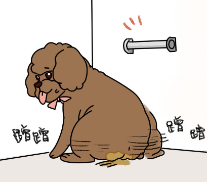 人类上完厕所都要擦一下，为啥狗狗不需要？那是你没留意呀 