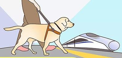  坐火车可以带宠物吗？坐火车带宠物需要办理什么手续？