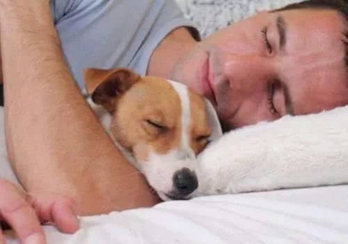 跟宠物一起睡有什么危害？