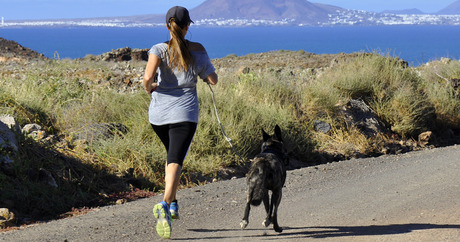 file_20719_column_how-to-run-with-dog.jpg