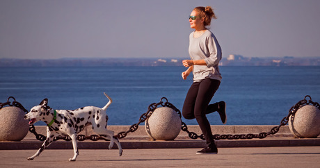 file_20719_column_how-much-exercise-does-a-dalmatian-need.jpg
