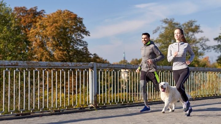 慢跑或跑步对狗安全吗?