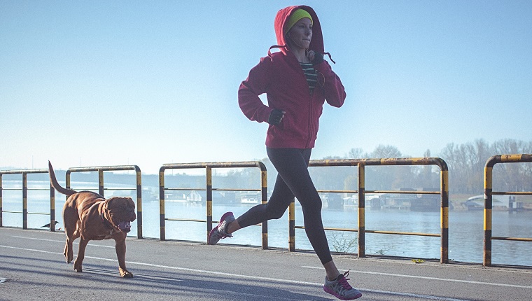 体重增加:为什么你应该在绝育或结扎后开始锻炼你的狗