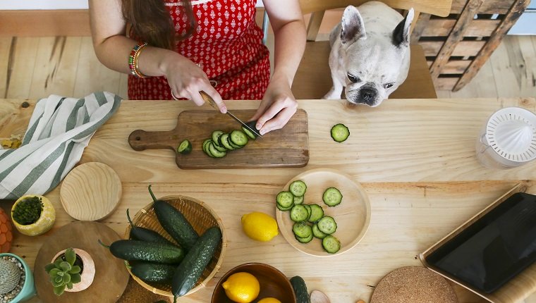 狗吃黄瓜安全吗?