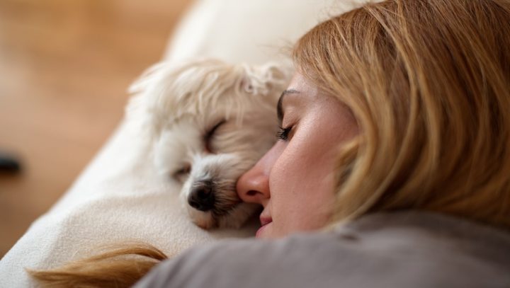 dog-sleep-habits-11-720x407.jpg