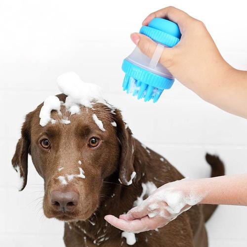 狗狗洗澡能否用人的沐浴液？